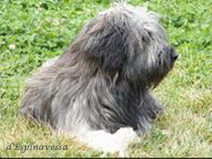 Bild laden 2272_VentallIdEspinavessa1.JPG