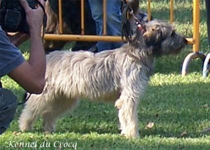 Bild laden 3285_DaineduCrocq2017_2.jpg