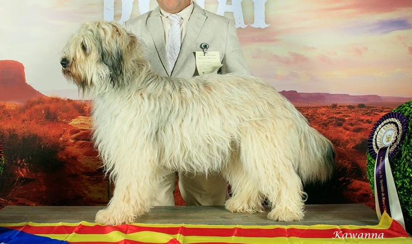 Bild laden 6784_KawannaMIssSunshine2017_2.jpg