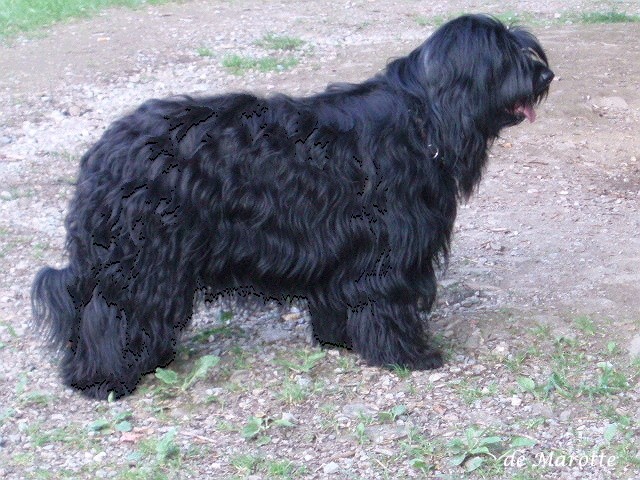schwarz dunkel